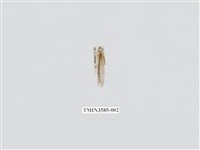 藏品(蟻蛉62)的圖片